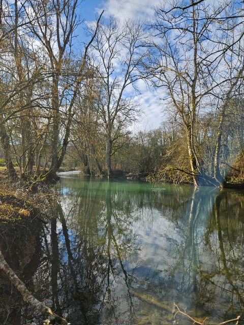 Aire camping-car  Andelot-Blancheville (52700) - Photo 1